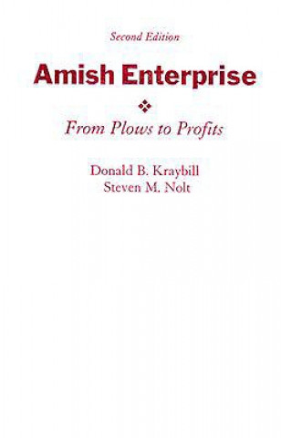 Kniha Amish Enterprise Donald B. Kraybill