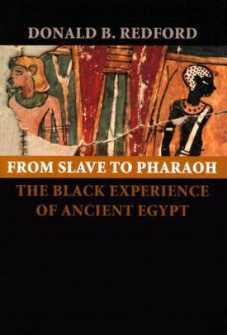 Book From Slave to Pharaoh Donald B. Redford