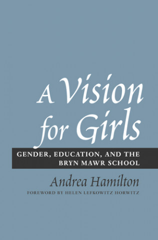 Kniha Vision for Girls Andrea Hamilton