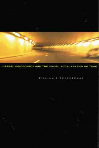 Buch Liberal Democracy and the Social Acceleration of Time William E. Scheuerman