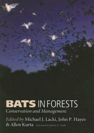 Kniha Bats in Forests 