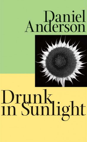 Carte Drunk in Sunlight Daniel Anderson