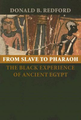 Kniha From Slave to Pharaoh Donald B. Redford