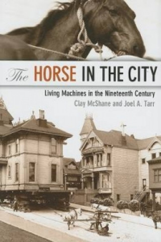 Könyv Horse in the City Clay McShane