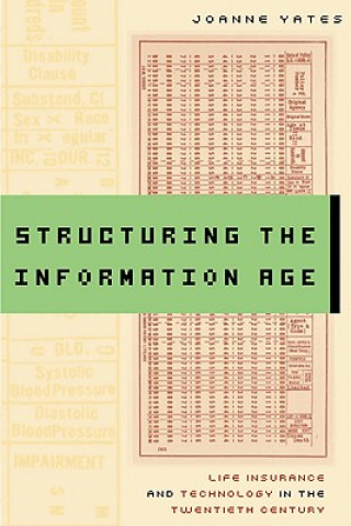 Buch Structuring the Information Age JoAnne Yates