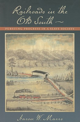 Kniha Railroads in the Old South Aaron W. Marrs