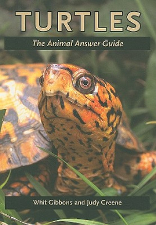 Kniha Turtles Whit Gibbons