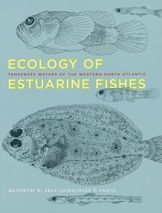 Könyv Ecology of Estuarine Fishes Kenneth W. Able