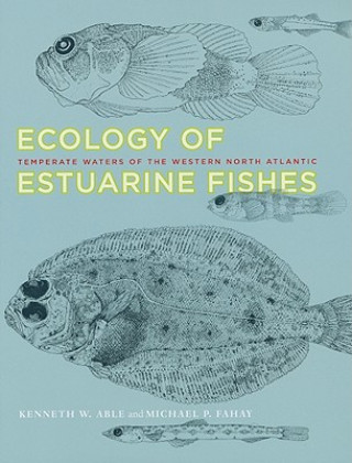 Książka Ecology of Estuarine Fishes Kenneth W. Able