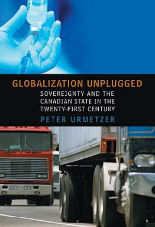 Kniha Globalization Unplugged Peter Urmetzer