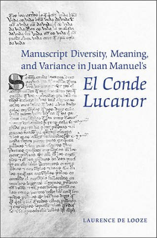 Könyv Manuscript Diversity, Meaning, and Variance in Juan Manuel's El Conde Lucanor Laurence de Looze