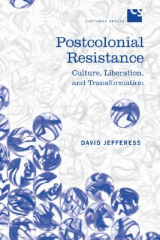 Книга Postcolonial Resistance David Jefferess
