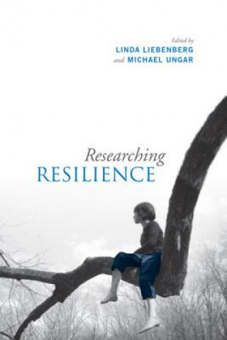 Kniha Researching Resilience 