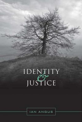 Книга Identity and Justice Ian Angus