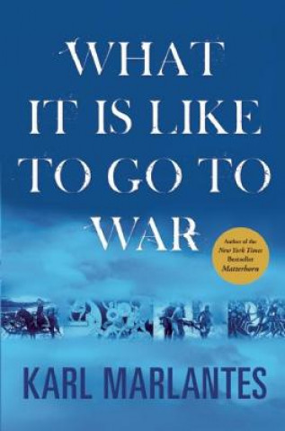 Carte What It Is Like to Go to War Karl Marlantes