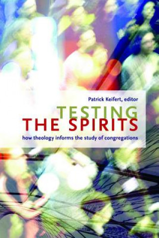 Buch Testing the Spirits Patrick Keifert