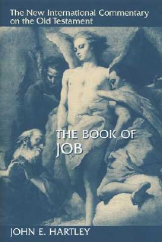 Kniha Book of Job John E. Hartley