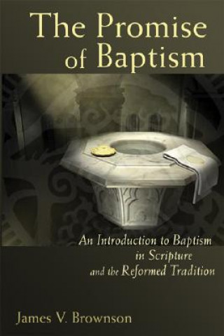 Carte Promise of Baptism James V. Brownson