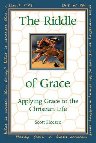 Книга Riddle of Grace Scott Hoezee