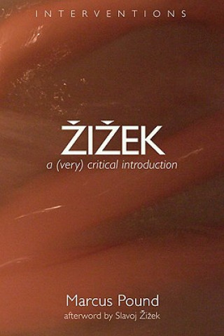 Book Zizek Marcus Pound