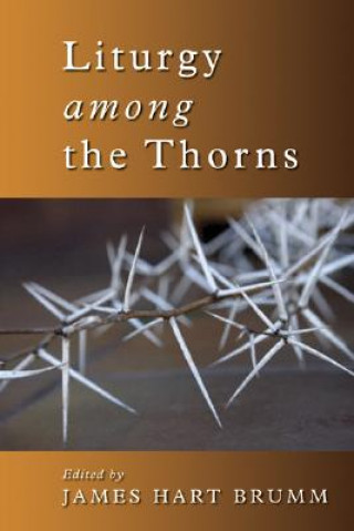 Book Liturgy Among the Thorns James Hart Brumm