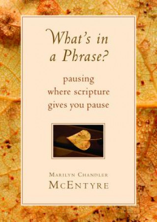 Livre What's in a Phrase? Marilyn Chandler McEntyre