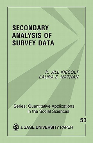 Kniha Secondary Analysis of Survey Data K.Jill Kiecolt