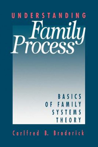 Knjiga Understanding Family Process Carlfred B. Broderick