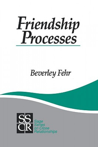 Kniha Friendship Processes Beverley Fehr