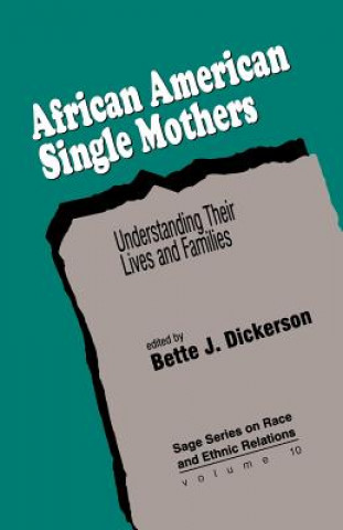 Boek African American Single Mothers Bette J. Dickerson