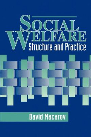 Könyv Social Welfare David Macarov