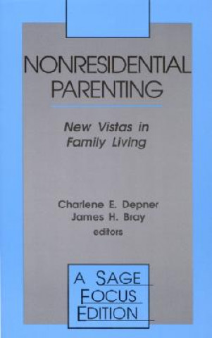 Knjiga Nonresidential Parenting James H. Bray