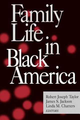Kniha Family Life in Black America James S. Jackson