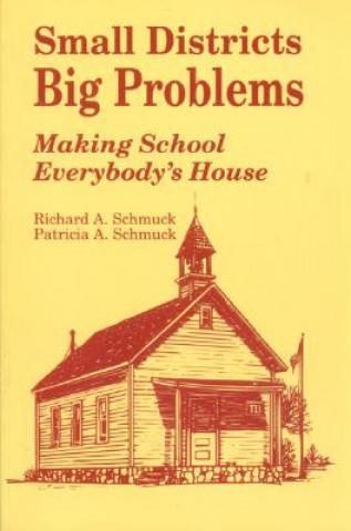 Kniha Small Districts, Big Problems Richard A. Schmuck