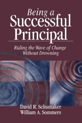 Kniha Being a Successful Principal David R Schumaker