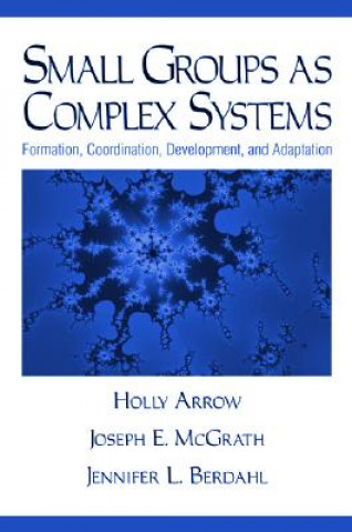 Kniha Small Groups as Complex Systems Holly Arrow