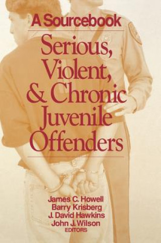 Kniha Serious, Violent, and Chronic Juvenile Offenders James C. Howell