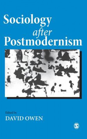 Kniha Sociology after Postmodernism David Owen