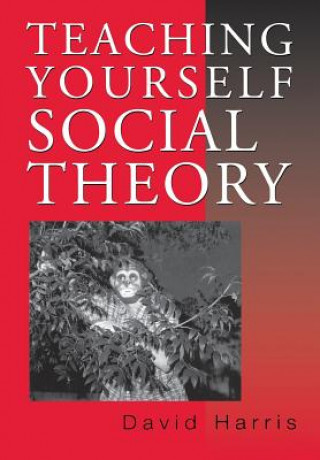 Carte Teaching Yourself Social Theory David E. Harris