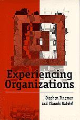 Kniha Experiencing Organizations Stephen Fineman