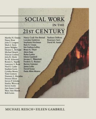 Książka Social Work in the 21st Century Michael Reisch