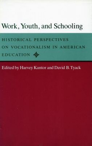 Buch Work, Youth, and Schooling 