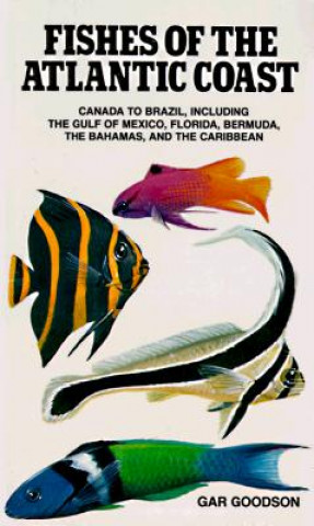 Kniha Fishes of the Atlantic Coast Gar Goodson