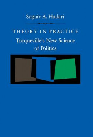 Book Theory in Practice Saguiv Hadari