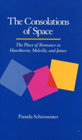 Könyv Consolations of Space Pamela Schirmeister
