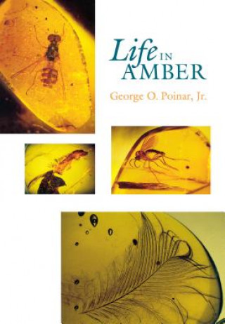 Книга Life in Amber George O. Poinar