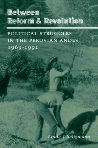 Buch Between Reform and Revolution Linda J. Seligmann
