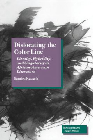 Buch Dislocating the Color Line Samira Kawash