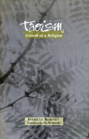 Könyv Taoism Isabelle P. Robinet