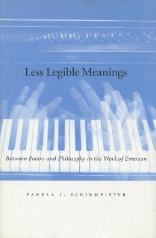 Knjiga Less Legible Meanings Pamela Schirmeister